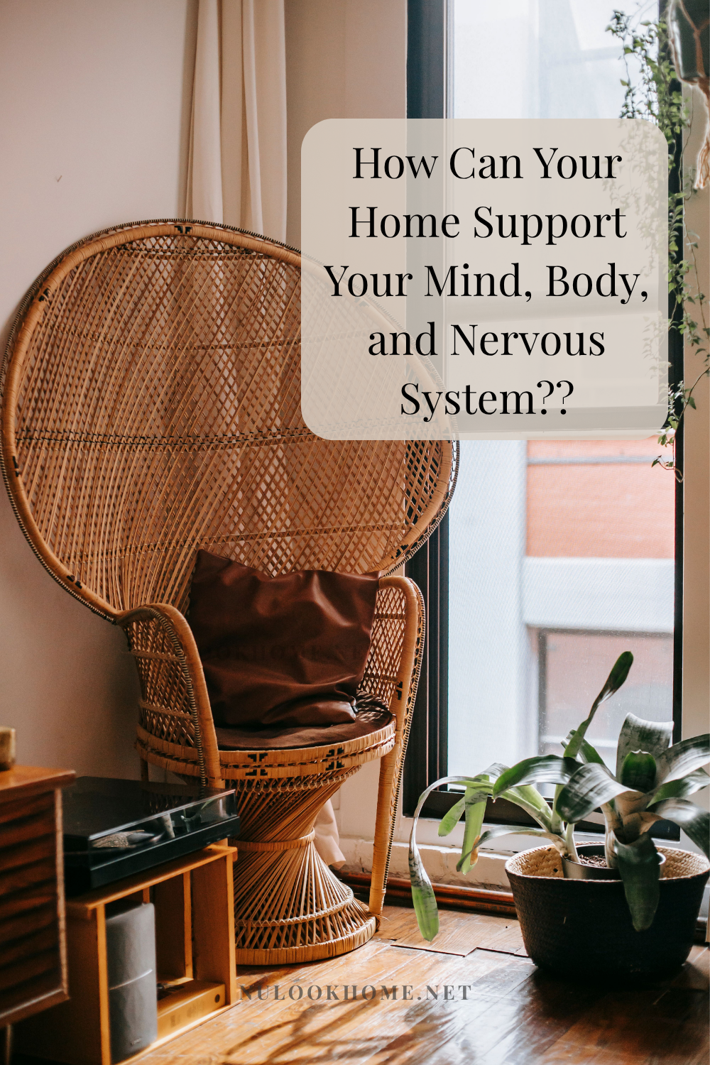 Discover what makes a healing space and learn how intentional home design, nature, and your environment can support your nervous system and overall well-being.